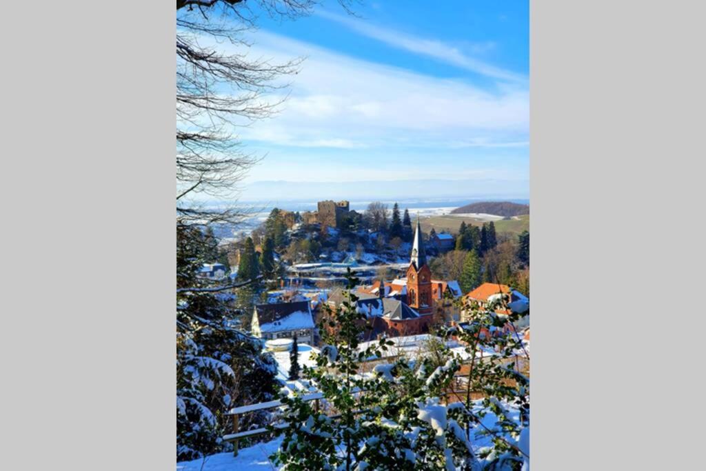 Ferienwohnung Am Musbach In Badenweiler-Sehringen Dış mekan fotoğraf
