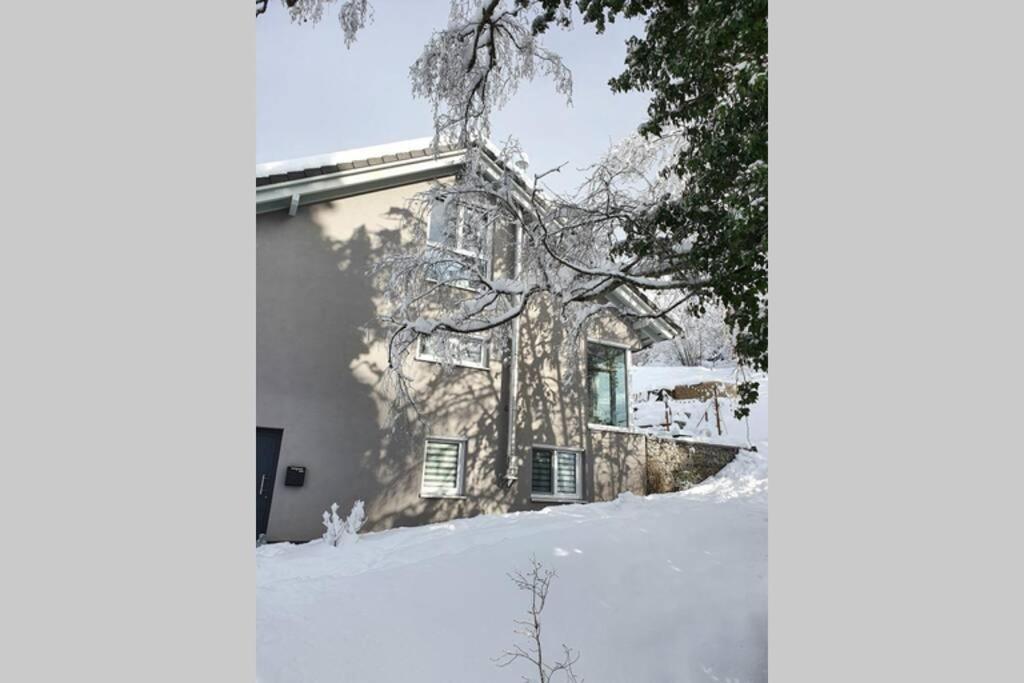 Ferienwohnung Am Musbach In Badenweiler-Sehringen Dış mekan fotoğraf