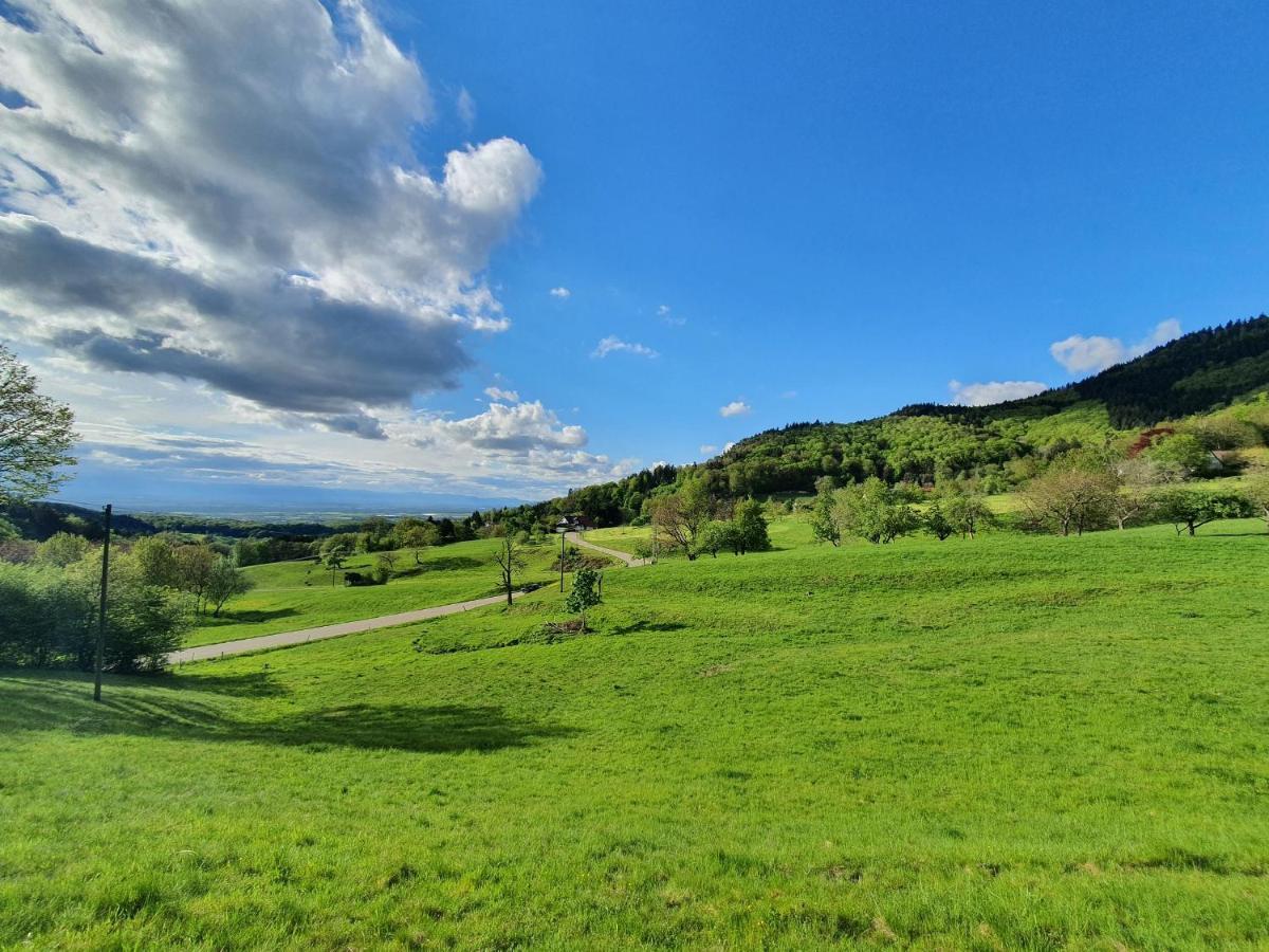 Ferienwohnung Am Musbach In Badenweiler-Sehringen Dış mekan fotoğraf